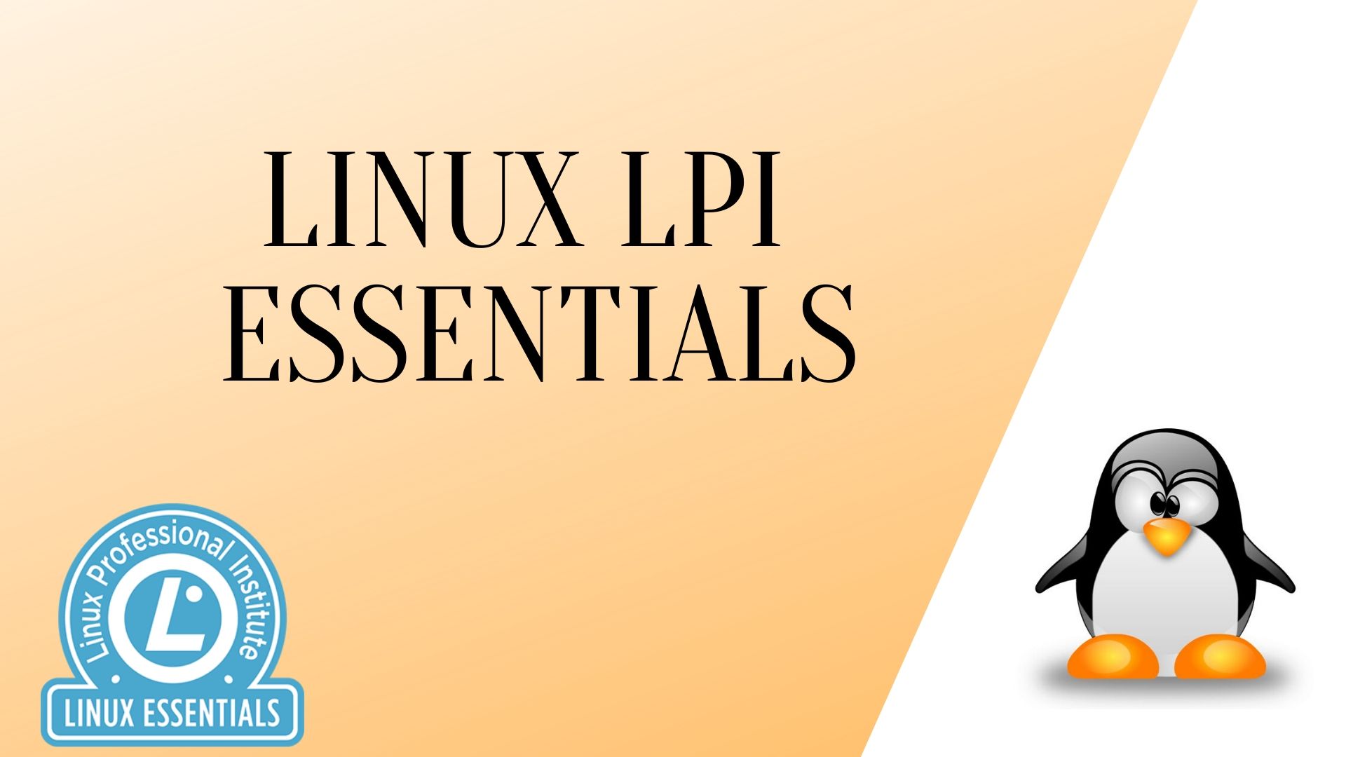 linux essentials Academy