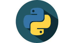 Curs Python Professional